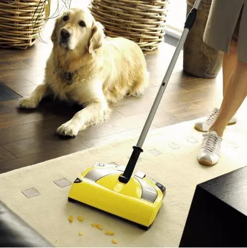 Cleaning a house with the pets